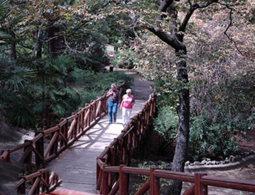 A peaceful Sunday stroll through Madrid’s Retiro Park