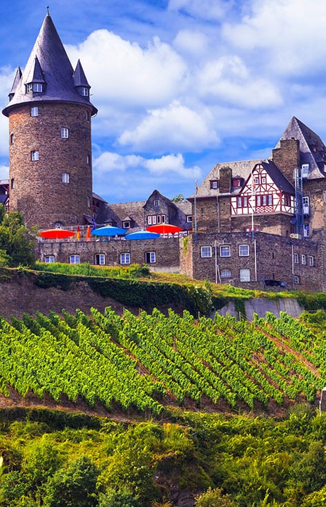 rhinegermanywebcrop-160069840-xl-2015_orig