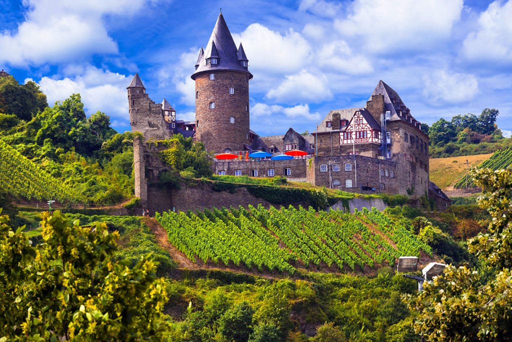 Castle on the Rhine River