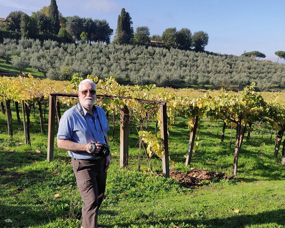 Frascati vineyard