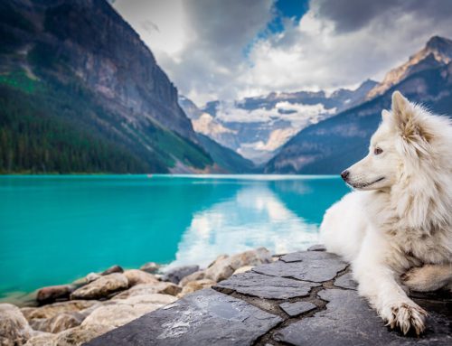 West coast best coast? Why British Columbia, Canada is the Ultimate Romantic Destination