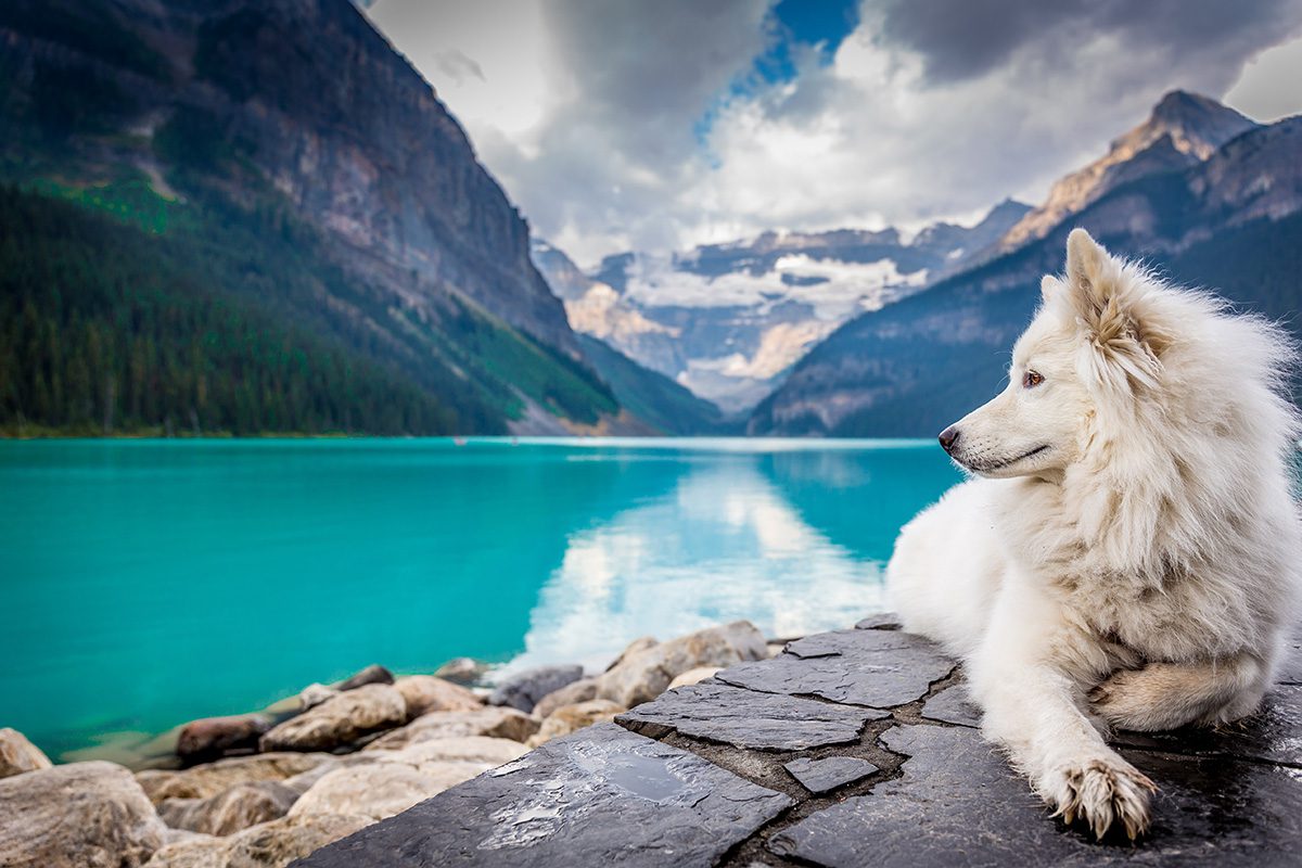 Rockies_jf-brou-915UJQaxtrk-unsplashWEB