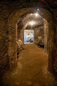 wine cellar