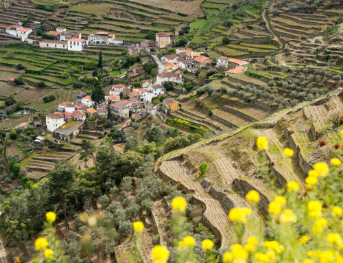 Portugal’s Wine and Port Country: A Traveler’s Guide to Sipping Through History and Beauty