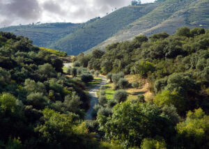 Duro Valley Portugal
