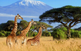 Kenya