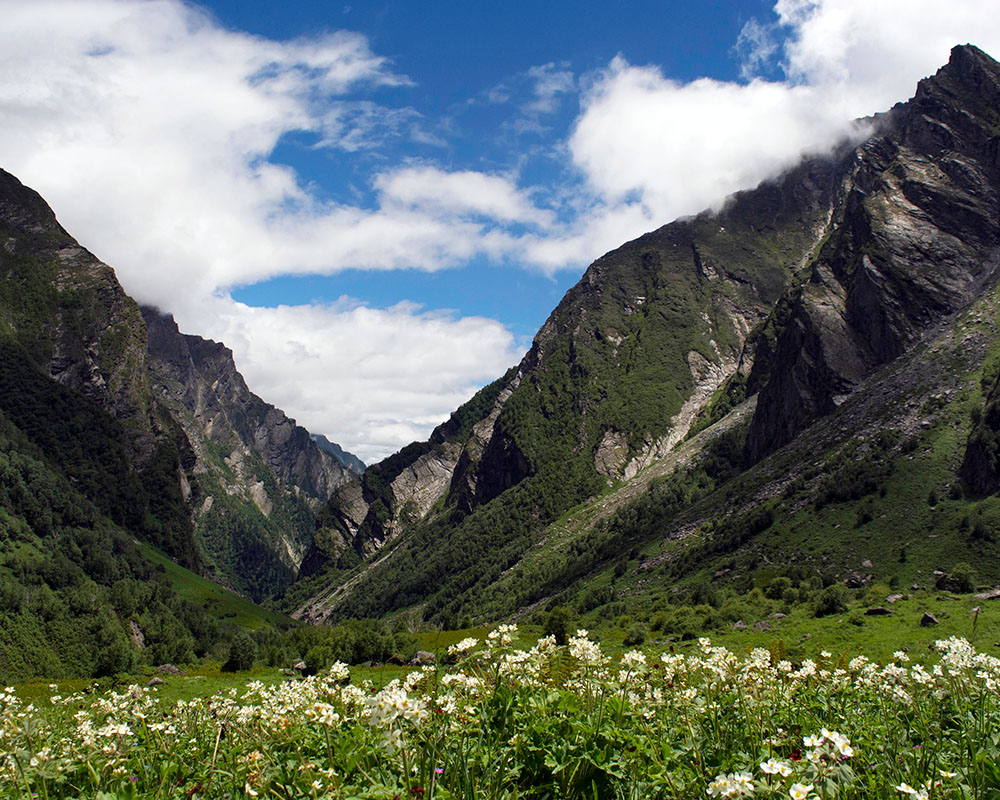 Valley of the Flowers, Himalayas